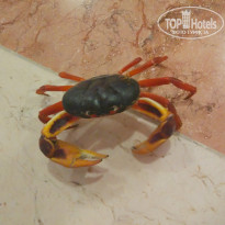 фото из отзыва ID 1761086