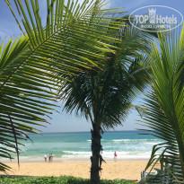 фото из отзыва ID 1769206