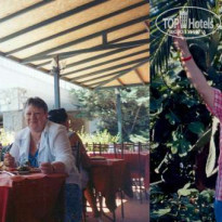 фото из отзыва ID 17753