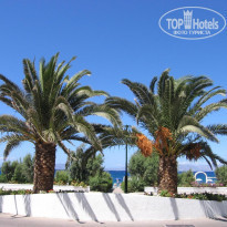 фото из отзыва ID 177543