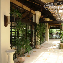 фото из отзыва ID 177875