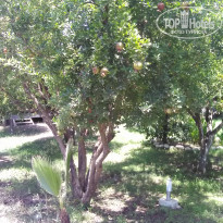 фото из отзыва ID 1770065