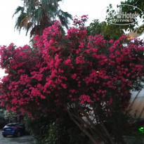 фото из отзыва ID 1770149