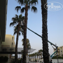 фото из отзыва ID 1770178