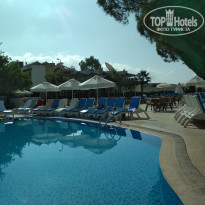 фото из отзыва ID 1770366