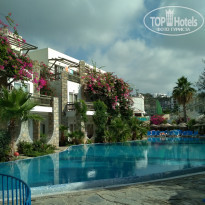 фото из отзыва ID 1770366