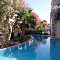 фото из отзыва ID 1770366