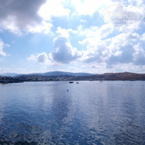 фото из отзыва ID 1770366