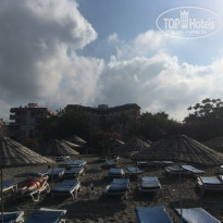 фото из отзыва ID 1770553