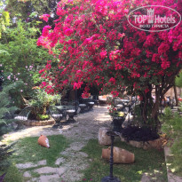 фото из отзыва ID 1770594