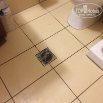 фото из отзыва ID 1770606