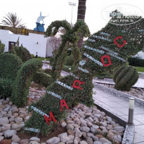 фото из отзыва ID 1770838