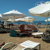 фото из отзыва ID 1770864