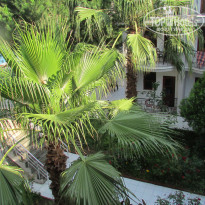 фото из отзыва ID 1770937