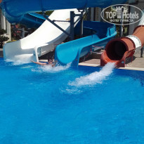 фото из отзыва ID 1770946