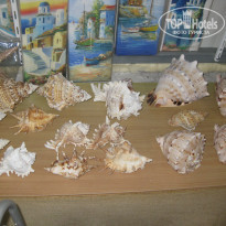 фото из отзыва ID 1770951