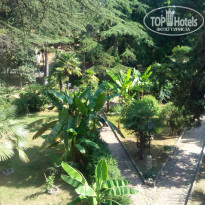 фото из отзыва ID 1771050