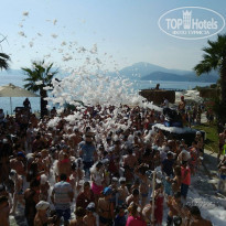 фото из отзыва ID 1771055