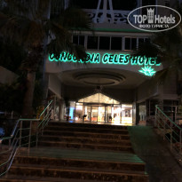 фото из отзыва ID 1771097