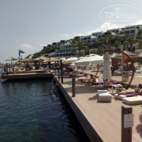 фото из отзыва ID 1771280