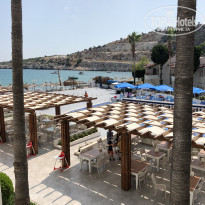 фото из отзыва ID 1771291