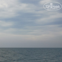 фото из отзыва ID 1771306