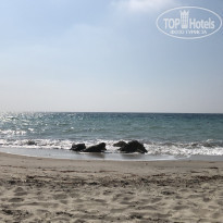 фото из отзыва ID 1771319