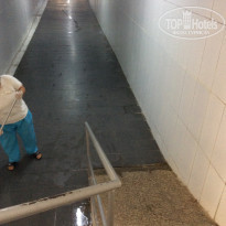 фото из отзыва ID 1771332