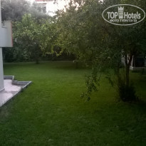 фото из отзыва ID 1771397