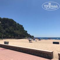 фото из отзыва ID 1771418