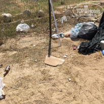 фото из отзыва ID 1771419