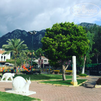 фото из отзыва ID 1771442