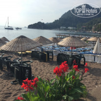 фото из отзыва ID 1771442