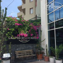 фото из отзыва ID 1771442