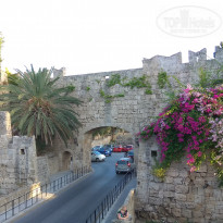 фото из отзыва ID 1771447