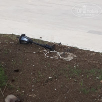 фото из отзыва ID 1771568