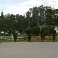 фото из отзыва ID 1771724