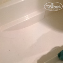 фото из отзыва ID 1771815