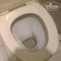 фото из отзыва ID 1771815