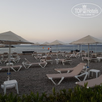 фото из отзыва ID 1772026