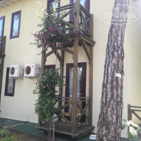 фото из отзыва ID 1772039