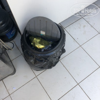 фото из отзыва ID 1772078