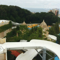 фото из отзыва ID 1772080