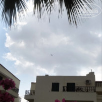 фото из отзыва ID 1772088