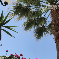 фото из отзыва ID 1772088