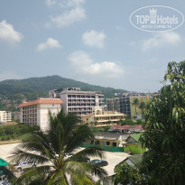 фото из отзыва ID 1772104