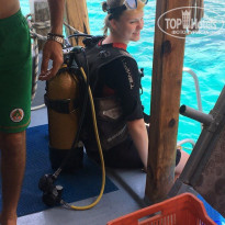 фото из отзыва ID 1772136