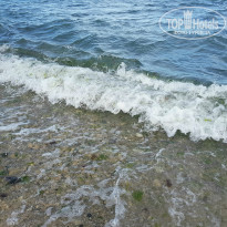 фото из отзыва ID 1772188