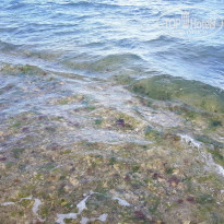 фото из отзыва ID 1772188