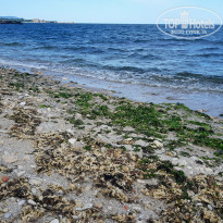 фото из отзыва ID 1772188